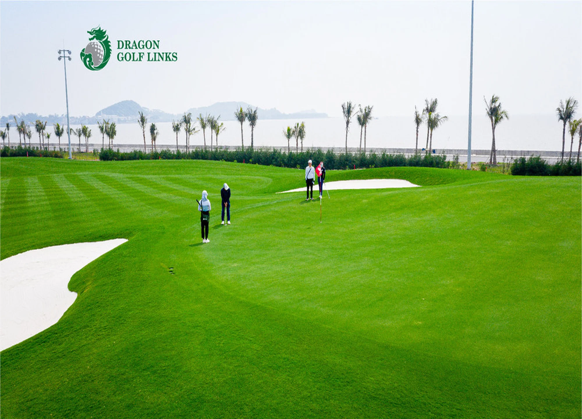 드래곤 골프 링크스 gallery 1