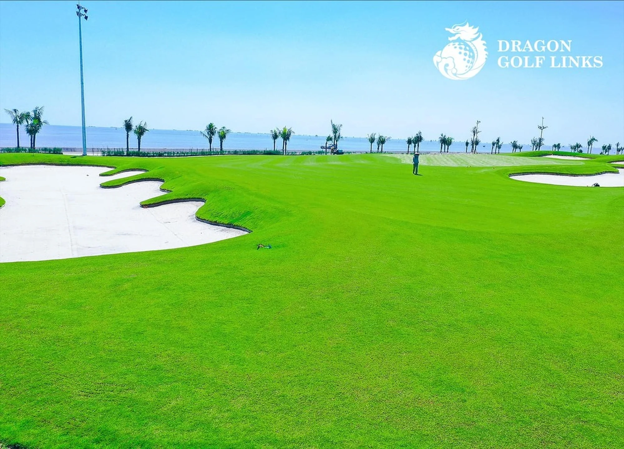 드래곤 골프 링크스 gallery 6