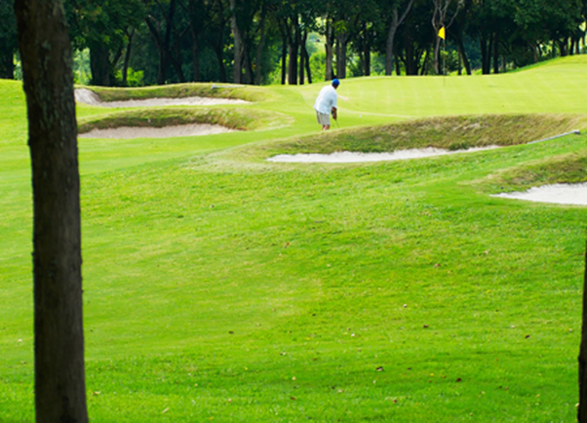 그린우드 골프 클럽 gallery 7