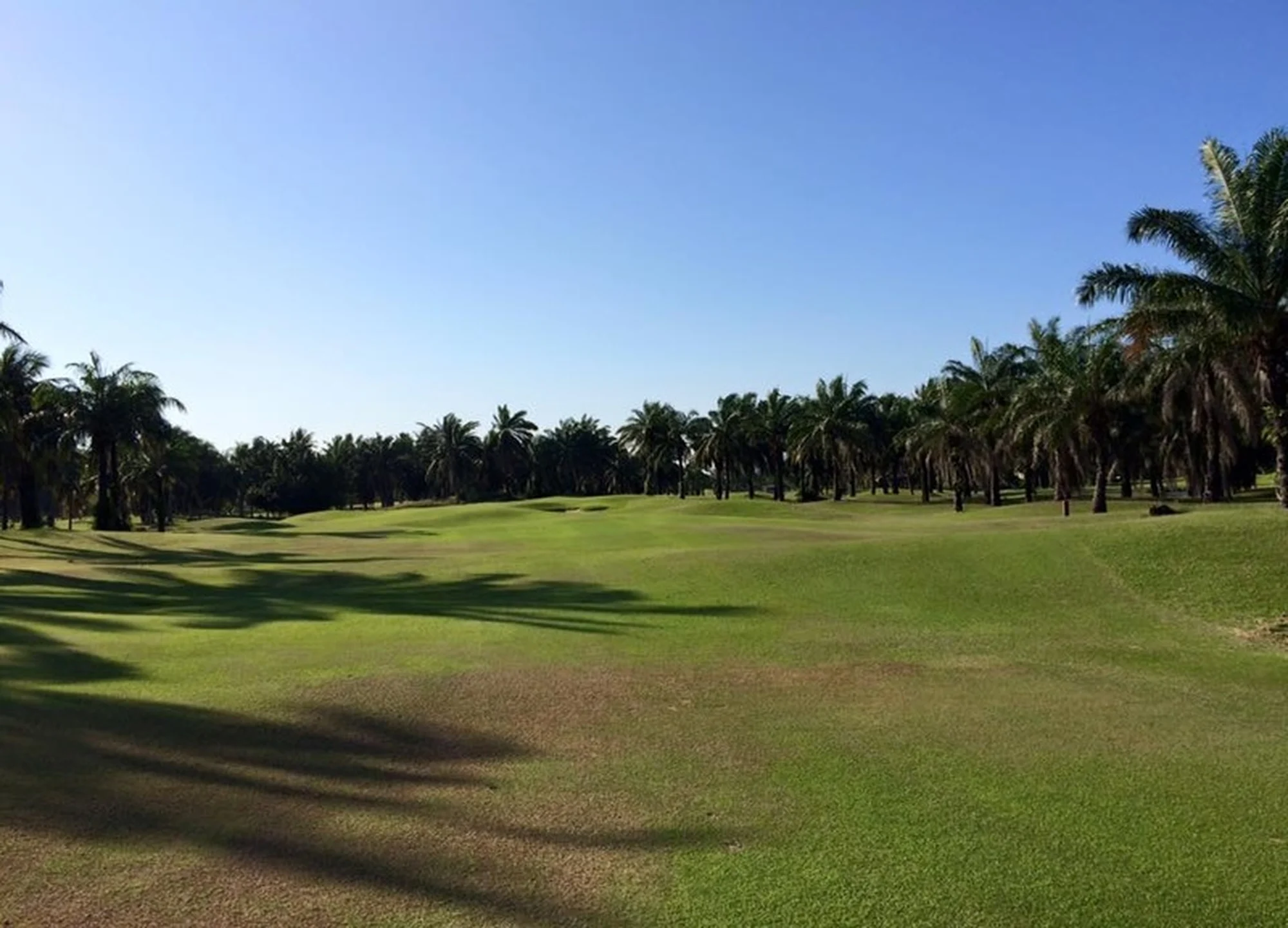 마운틴 쉐도우 골프 클럽 gallery 4