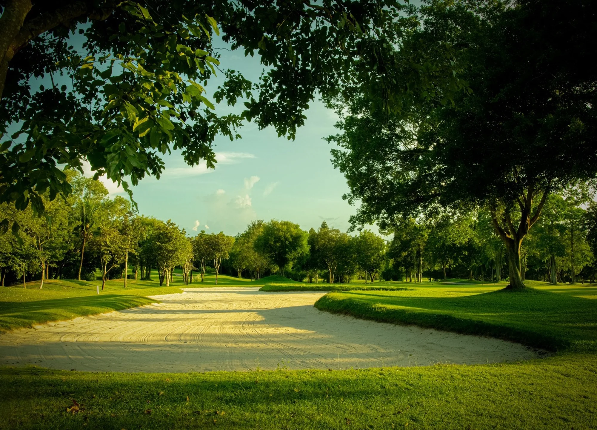 트레저 힐 골프 클럽 gallery 3