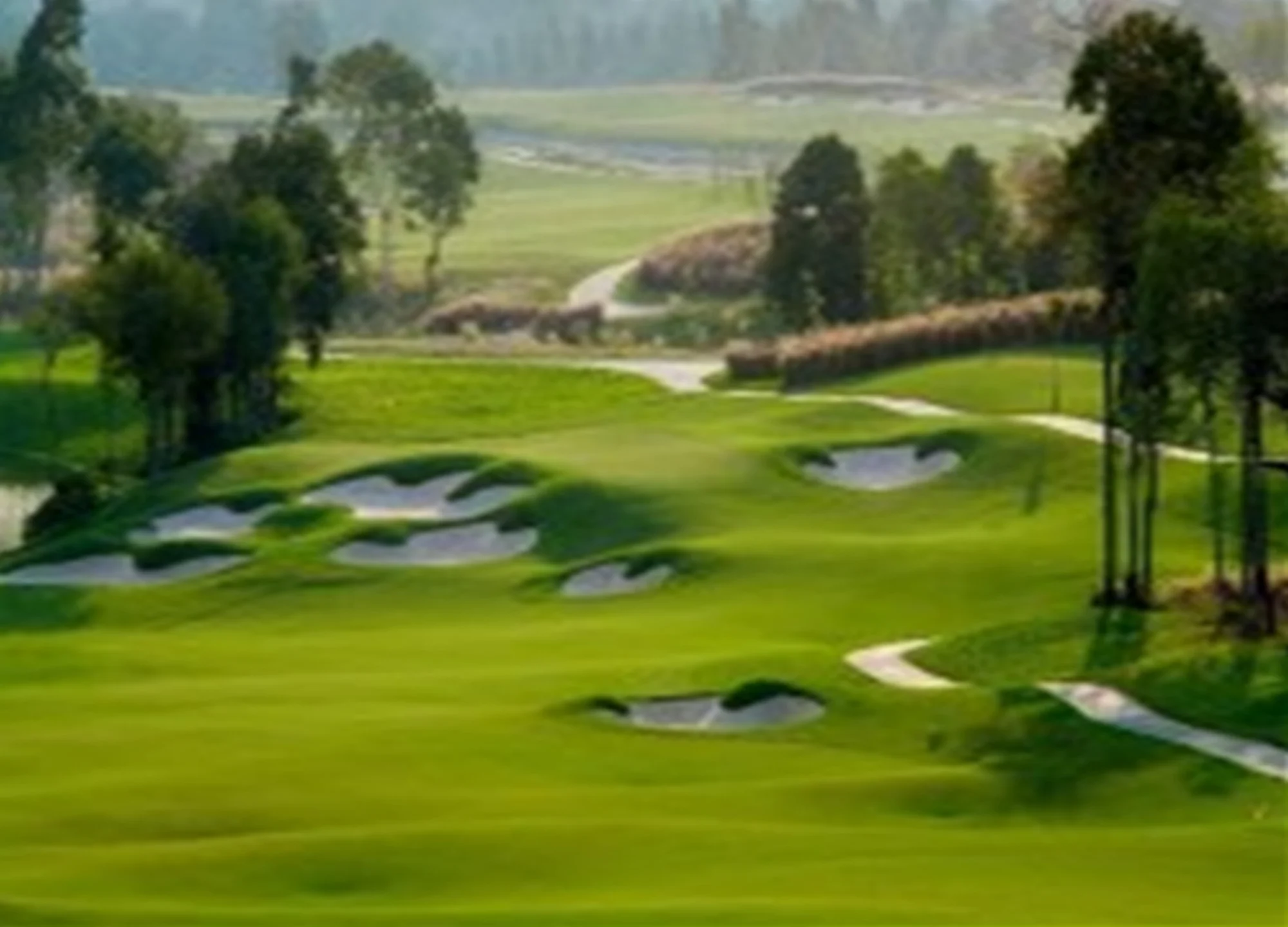 빈펄 골프 하이퐁 gallery 2